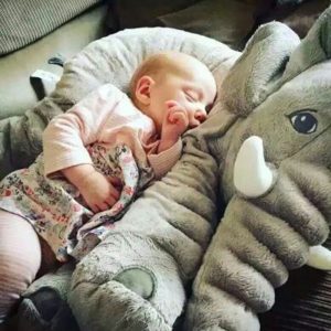Oreiller en Forme d’Eléphant pour Bébé